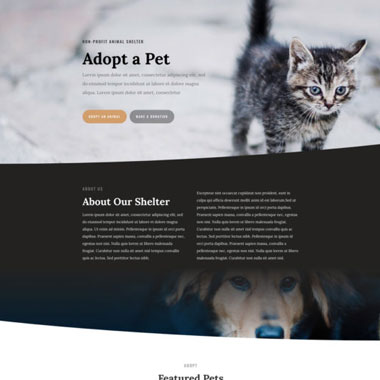 3. Siti web canone mensile 9